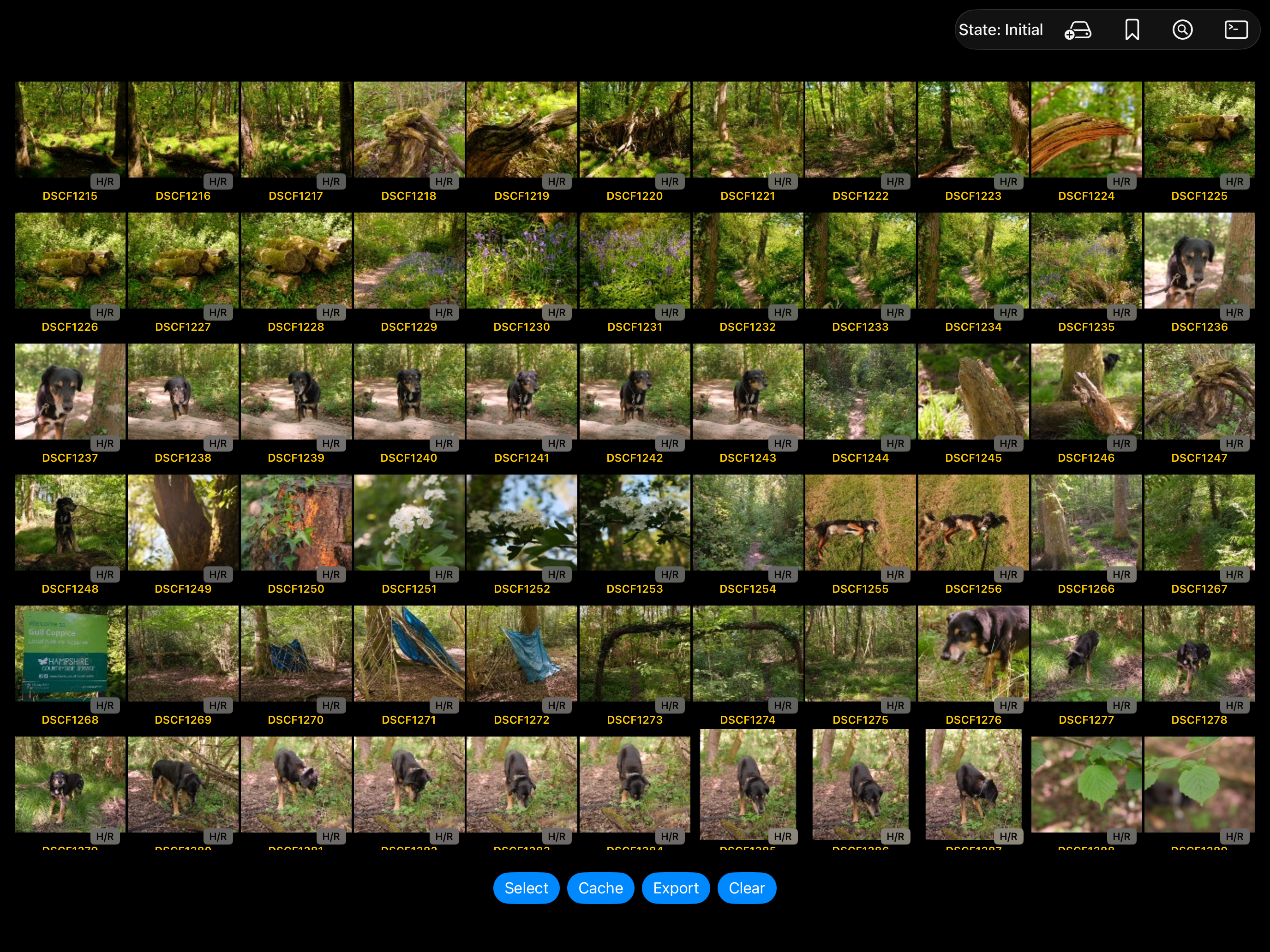 iPad Thumbnail Grid Screenshot